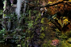 2019-Oceanika-Zdjecie-094