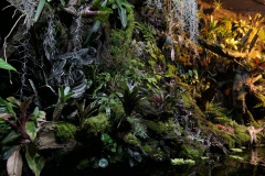 2019-Oceanika-Zdjecie-095