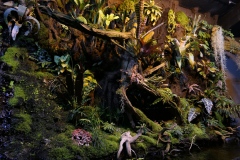 2019-Oceanika-Zdjecie-096