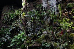 2019-Oceanika-Zdjecie-097