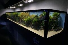 2019-Oceanika-Zdjecie-101