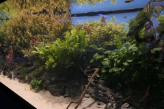 2019-Oceanika-Zdjecie-102