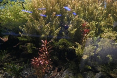 2019-Oceanika-Zdjecie-103