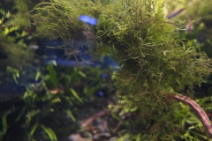 2019-Oceanika-Zdjecie-104