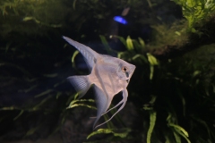 2019-Oceanika-Zdjecie-105