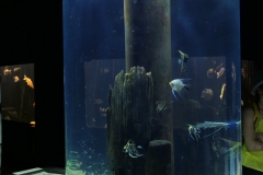 2019-Oceanika-Zdjecie-106