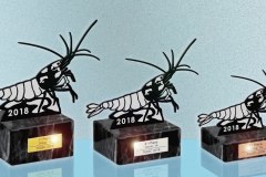 37376107_636400350093835_4775014003967524864_o