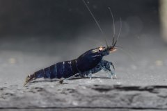 42985437_696027067464496_7501126185934389248_o