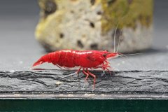 43079465_696025824131287_6164110885393530880_o