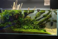 241645427_4693195034025510_2809234527283177605_n