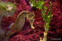 241729263_4693200010691679_1737330009227203393_n