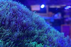 241736716_4693195007358846_2488232541055704064_n