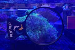 241770832_4693195027358844_792952673261263162_n