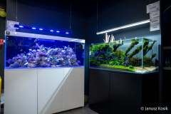 241779386_4693190787359268_1828816419100435458_n