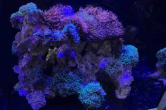 241876865_4693194987358848_406933253524621378_n