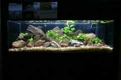 2019.06.20-III-Akwarystyczny-splyw-kajakowy-Zjecie-003