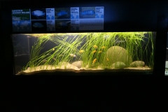 2019.06.20-III-Akwarystyczny-splyw-kajakowy-Zjecie-004