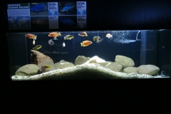 2019.06.20-III-Akwarystyczny-splyw-kajakowy-Zjecie-005