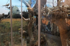 2019.06.21-III-Akwarystyczny-splyw-kajakowy-Zjecie-018