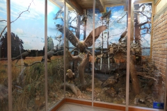 2019.06.21-III-Akwarystyczny-splyw-kajakowy-Zjecie-019