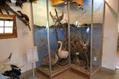 2019.06.21-III-Akwarystyczny-splyw-kajakowy-Zjecie-020