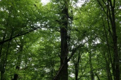 2019.06.21-III-Akwarystyczny-splyw-kajakowy-Zjecie-030