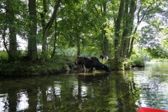 2019.06.21-III-Akwarystyczny-splyw-kajakowy-Zjecie-040