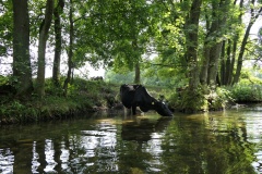2019.06.21-III-Akwarystyczny-splyw-kajakowy-Zjecie-041