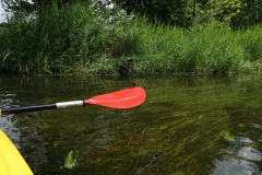 2019.06.21-III-Akwarystyczny-splyw-kajakowy-Zjecie-043