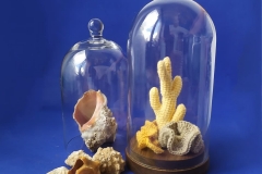 221861758_4236721323110209_4878295948706957030_n 221861758_4236721323110209_4878295948706957030_n