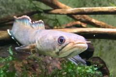 243413780_1484965455200131_5998174182900169976_n