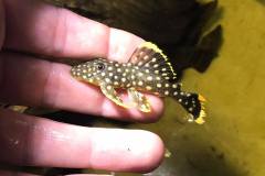 253652781_1513072175722792_1431934344026965874_n