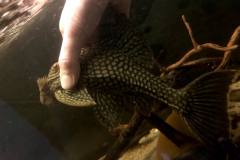 254980710_1513072172389459_3978152595434806701_n