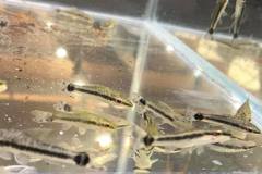 255039129_1513072155722794_8279562055658787318_n