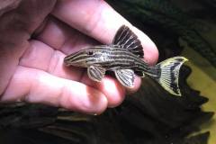 255171795_1513072122389464_4451646804576695149_n