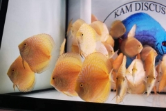 260576458_747809573286337_2602643348457296812_n