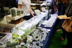 263156107_3770252189866651_802259866400116194_n