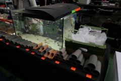 2020.02.02-ZooEgzotyka-Zdjecie-004