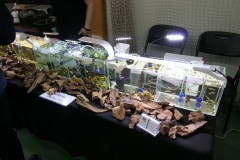 2020.02.02-ZooEgzotyka-Zdjecie-005