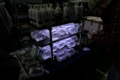 2020.02.02-ZooEgzotyka-Zdjecie-008