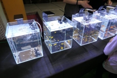 2020.02.02-ZooEgzotyka-Zdjecie-012