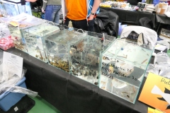 2020.02.02-ZooEgzotyka-Zdjecie-019