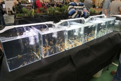 2020.02.02-ZooEgzotyka-Zdjecie-020