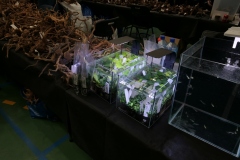 2020.02.02-ZooEgzotyka-Zdjecie-021