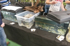 2020.02.02-ZooEgzotyka-Zdjecie-026