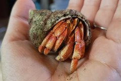 61728195_814895708894147_6965744334800945152_n