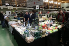 Moenkhausia-sanctaefilomenae0