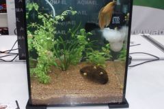 OLYMPUS DIGITAL CAMERA