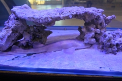 2019.10-ZooPark-Lublin-Wystawa-Zdjecie-006-Oceanika