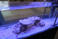 2019.10-ZooPark-Lublin-Wystawa-Zdjecie-007-Oceanika